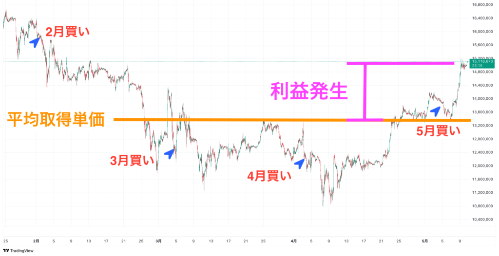 【2025年5月】ビットコイン毎月積立 ドルコスト平均法で利益発生